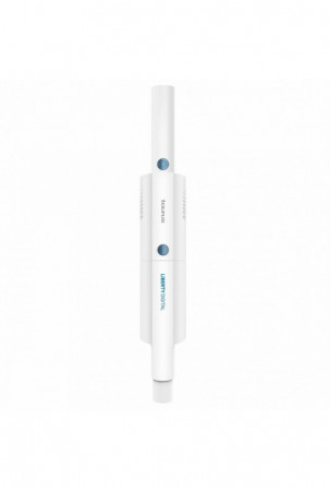 Rankinis dulių siurblys...