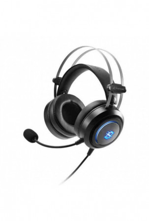 Ausinės su mikrofonu...