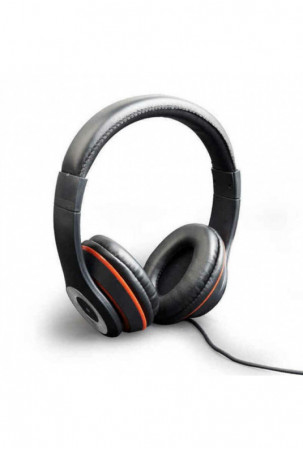 Ausinės su mikrofonu...