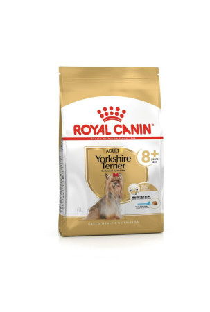 Pašarai Royal Canin...