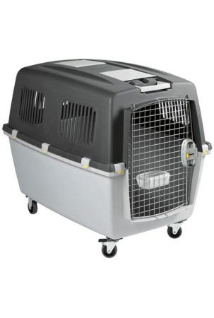 Transportor Zolux Gulliver...