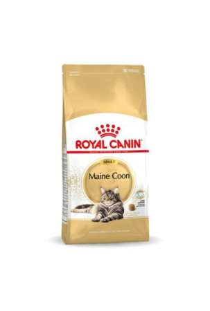 Kačių maistas Royal Canin...