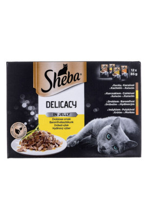 Kačių maistas Sheba Delicacy in Jelly Višta Turkija Antis Paukščiai 100 g