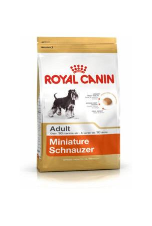 Pašarai Royal Canin...
