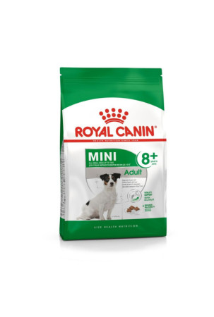 Pašarai Royal Canin Mini...