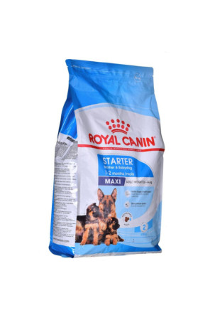 Pašarai Royal Canin Maxi...