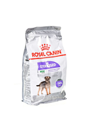 Pašarai Royal Canin Mini...