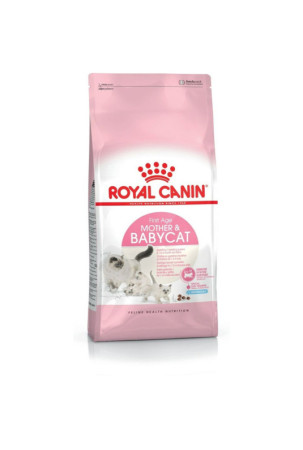 Kačių maistas Royal Canin...