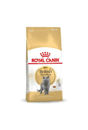 Kačių maistas Royal Canin...