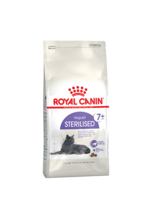 Kačių maistas Royal Canin...