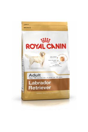 Pašarai Royal Canin Labrador Retriever Adult 12 kg Suaugęs Paukščiai 20-40 Kg