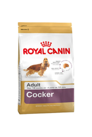 Pašarai Royal Canin Cocker...