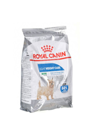 Pašarai Royal Canin Suaugęs...