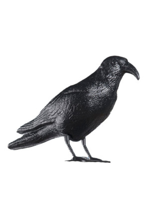 Repeleris EDM Paukščiai...