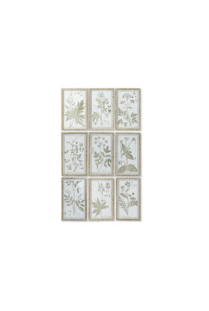 Paveikslas DKD Home Decor Cottage Vaistiniai augalai 30 x 2 x 50 cm (9 vnt.)