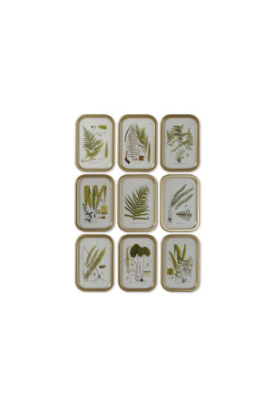 Paveikslas DKD Home Decor Šiuolaikiškas Vaistiniai augalai 30 x 2 x 45 cm (9 vnt.)