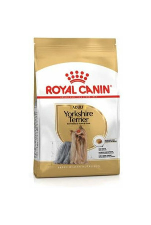Pašarai Royal Canin...