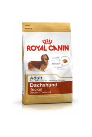 Pašarai Royal Canin...