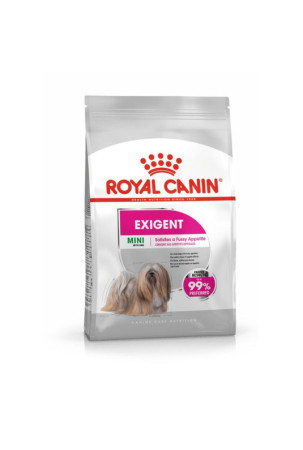 Pašarai Royal Canin Mini Exigent 1kg Suaugęs Daržovė 1 kg