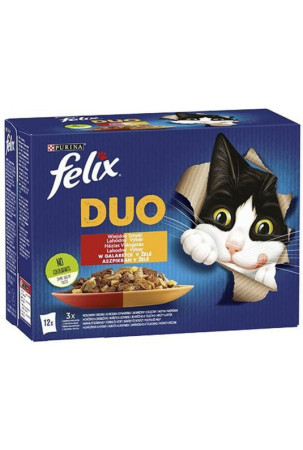 Kačių maistas Purina...