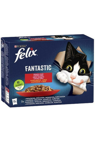 Kačių maistas Purina...