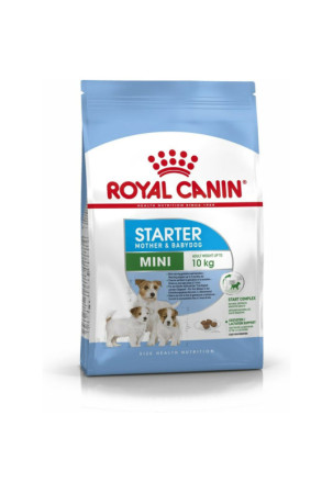 Pašarai Royal Canin Starter...