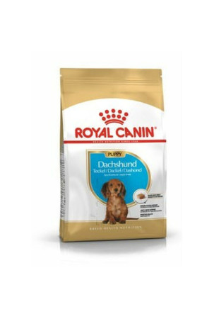 Pašarai Royal Canin  Breed...
