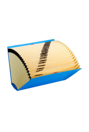 Papkė su skyriais Carchivo Mėlyna Din A4 35 x 25 x 5 cm