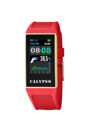 Aktyvumo apyrankė Calypso...