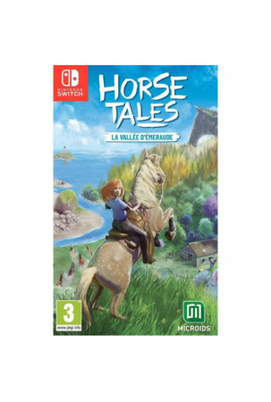 Switch vaizdo žaidimas...