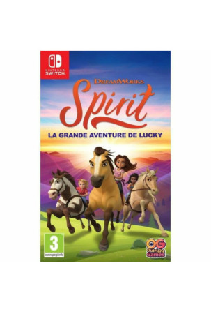 Switch vaizdo žaidimas...