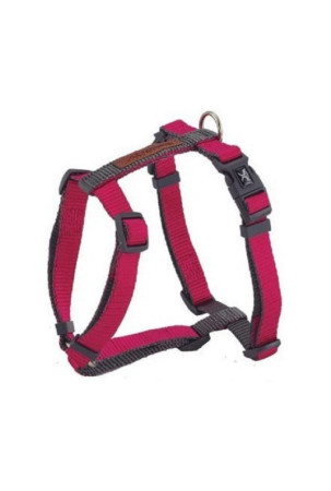 Diržai gyvūnams Nayeco...