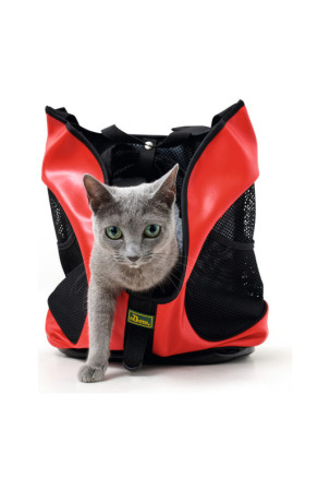 Naminių gyvūnėlių kuprinė Hunter Taylor Raudona (35 x 20 x 40 cm) Naminių gyvūnėlių kuprinė Hunter Taylor Raudona (35 x 20 x 40 cm)