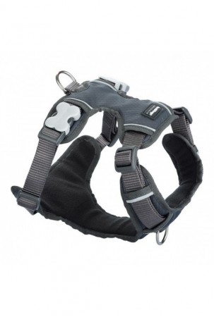 Šuns pakinktai Red Dingo Padengta Pilka S