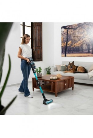 Pailgasis dulkių siurblys...