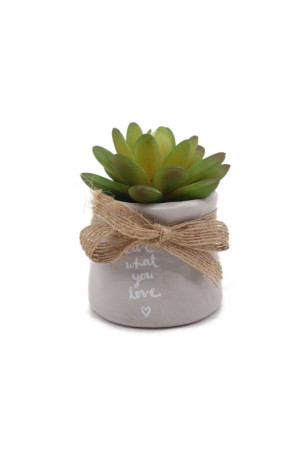 Dekoratyvinis augalas Versa Keramikinis Plastmasinis 7,62 x 8,13 x 7,62 cm