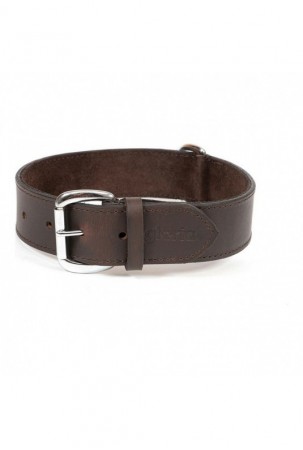 Šuns antkaklis Gloria Ruda...