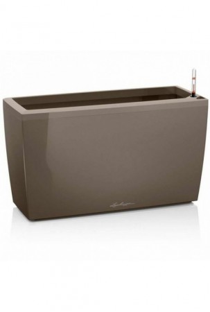 Stiklainis Lechuza 75 x 30...