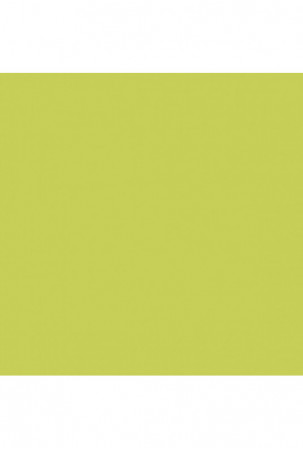 Apsitempianti paklodė Happy Home MIX COLORS Žalia Lova 180