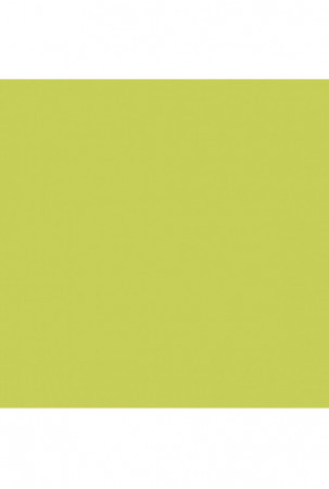 Apsitempianti paklodė Happy Home MIX COLORS Žalia Lova 200