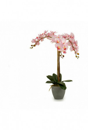 Dekoratyvinis augalas Orchidėja Plastmasinis 29 x 78 x 35 cm (2 vnt.)