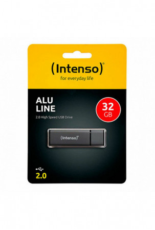 USB atmintukas INTENSO...