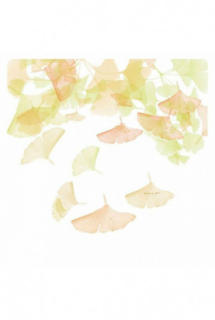 Šiaurės šalių viršelis Devota & Lomba Rai